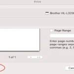 Graphic showing settings for print to pdf