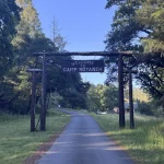 Welcome to Royaneh archway