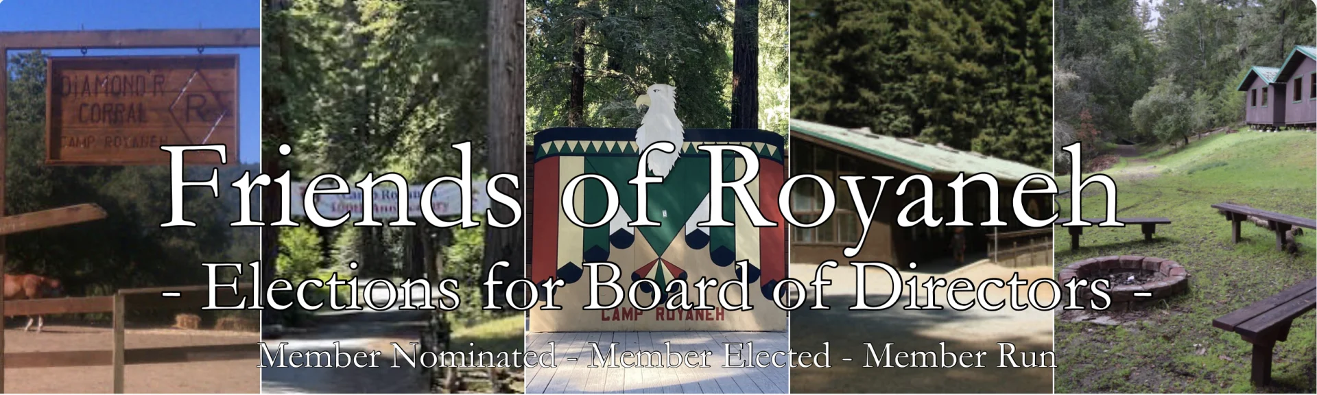Friends of Royaneh header for Board elections